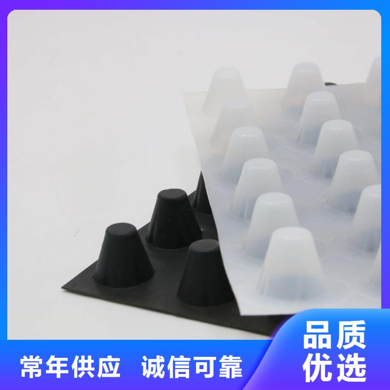塑料排水板三維土工網(wǎng)墊多種規(guī)格庫存充足同城供應(yīng)商