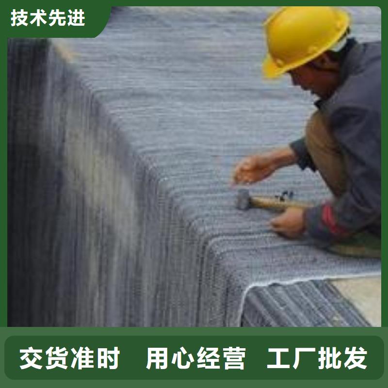 防水毯鋼塑土工格柵豐富的行業經驗價格有優勢