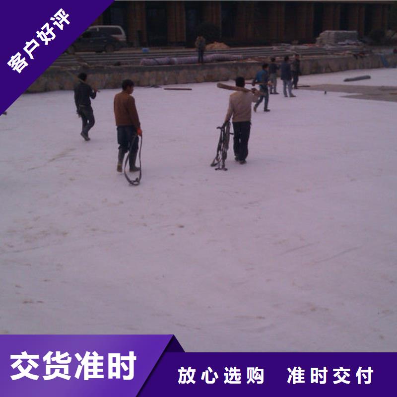 防水毯HDPE土工膜質(zhì)優(yōu)價保廠家新品