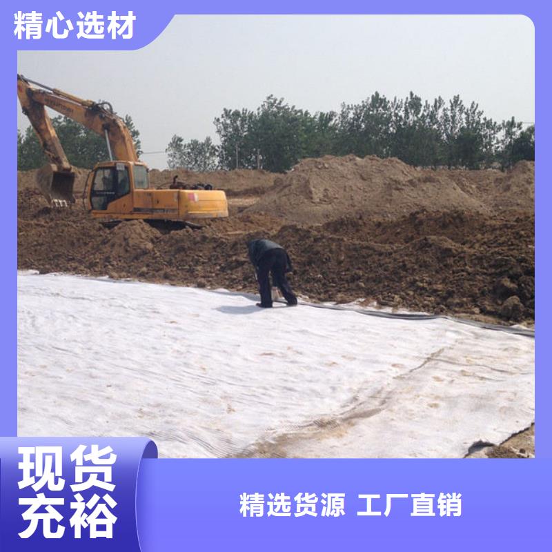 防水毯土工席墊廠家質量過硬當地廠家