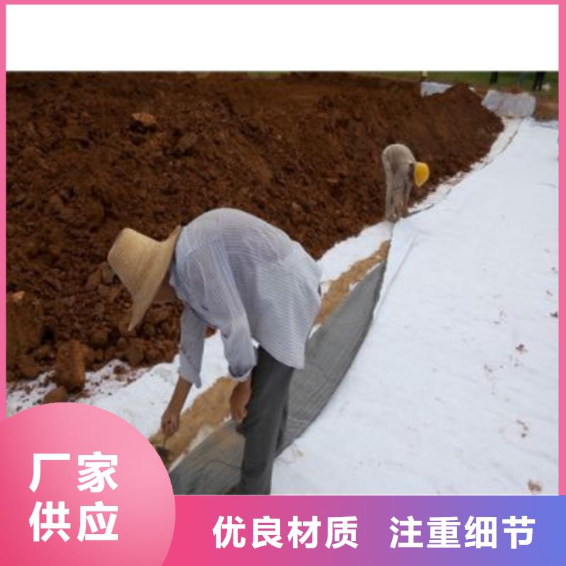 防水毯玻璃纖維土工格柵滿足客戶所需廠家貨源穩(wěn)定