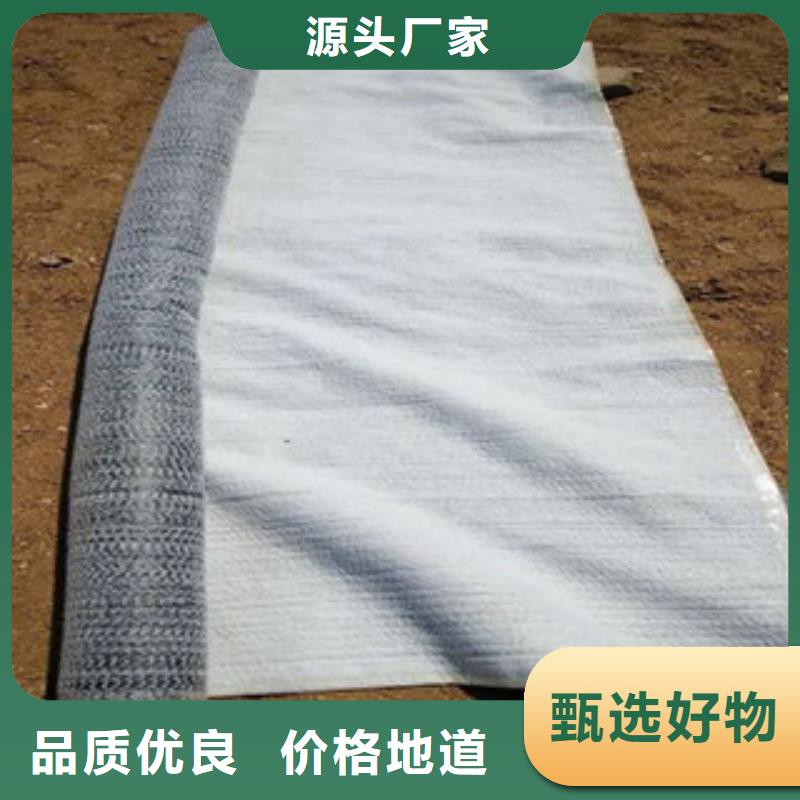 防水毯鋼塑土工格柵廠家真實拍攝品質可靠同城供應商