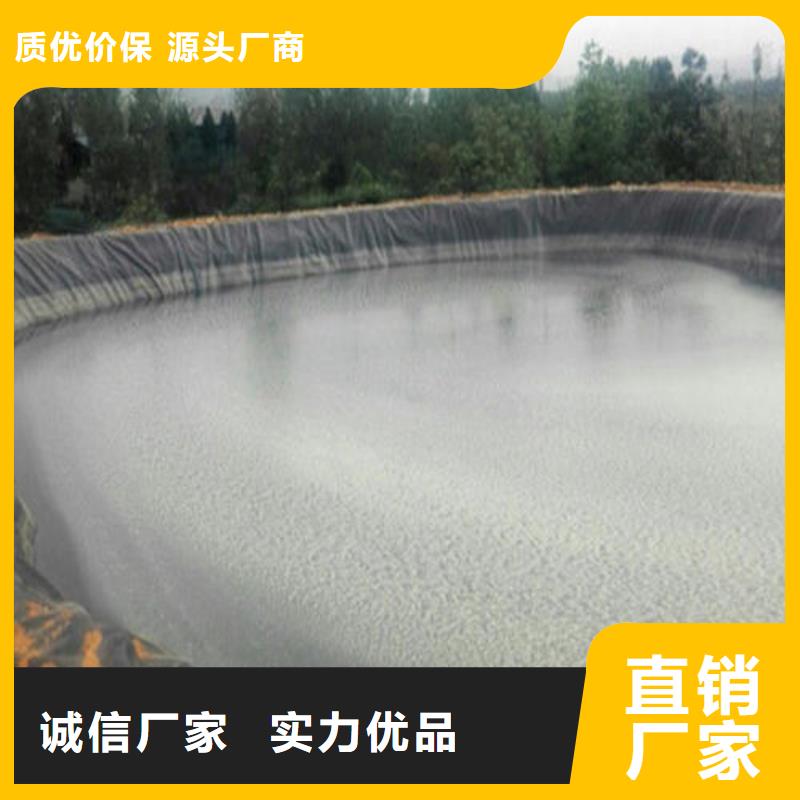 土工膜玻纖土工格柵擁有多家成功案例24小時下單發貨