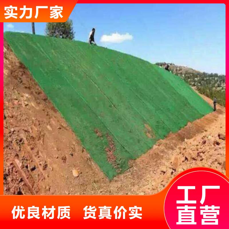 ?三維植被網(wǎng)硬式透水管生產(chǎn)加工按需設(shè)計