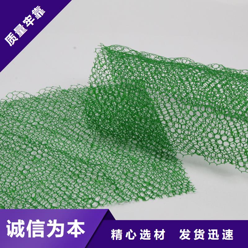 三維植被網長絲無紡土工布訂制批發供貨及時