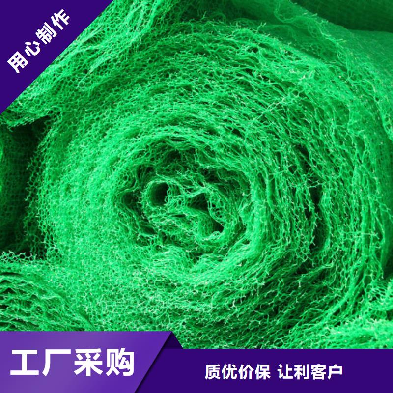 三維土工網墊廠家好貨源好價格-億路通新材料有限公司三維土工網墊技術參數經驗豐富質量放心