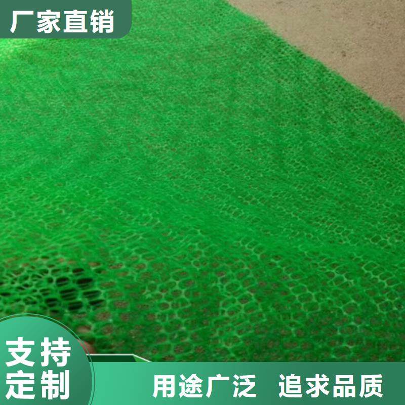 三維植被網護坡土工網服務周到供貨及時