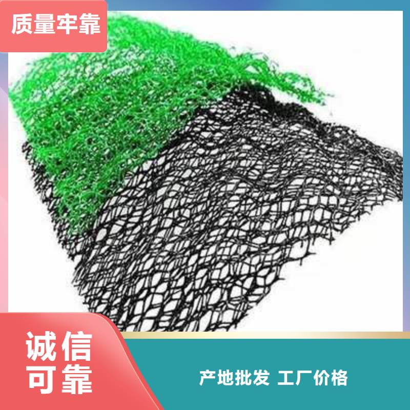 EM3三維植被網廠家直銷保障產品質量