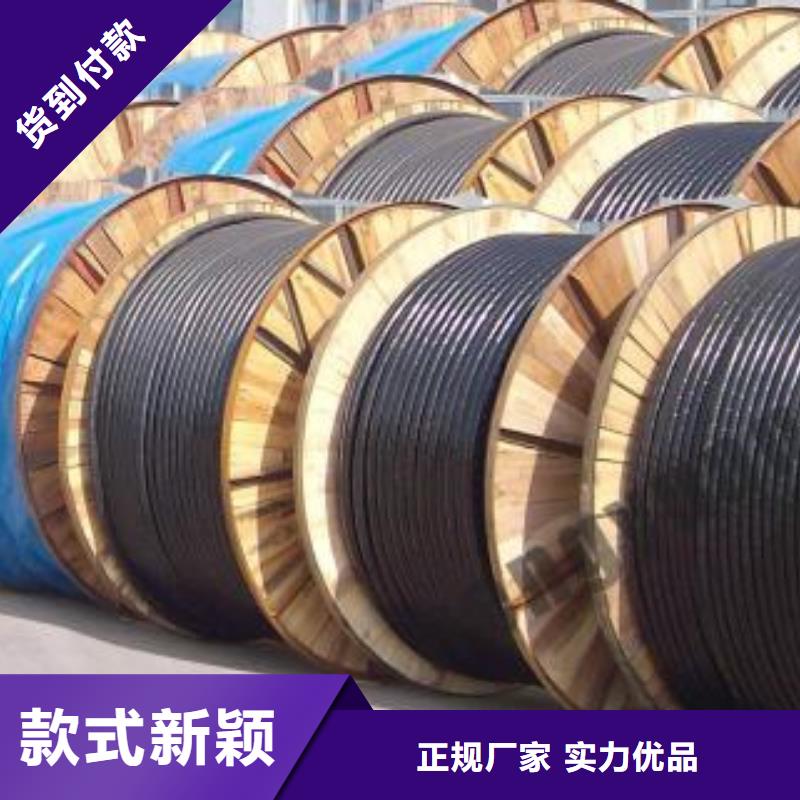 電線電纜_DJYVP電纜主推產品品質保證