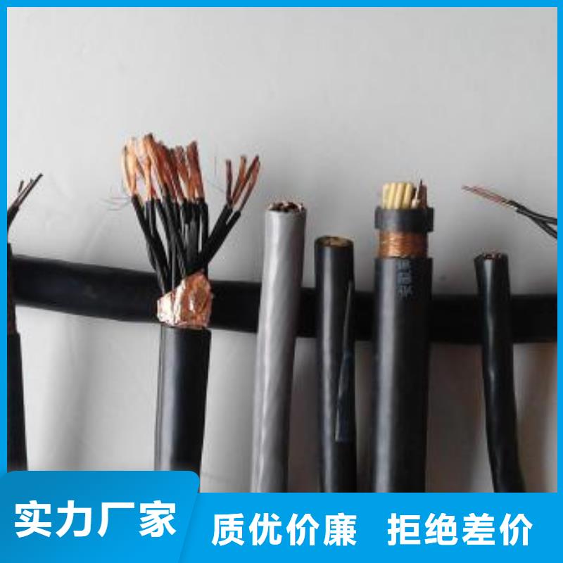 電線電纜RS485電纜實地大廠本地品牌
