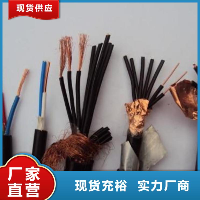 電線電纜_PTYA23電纜支持非標(biāo)定制供您所需
