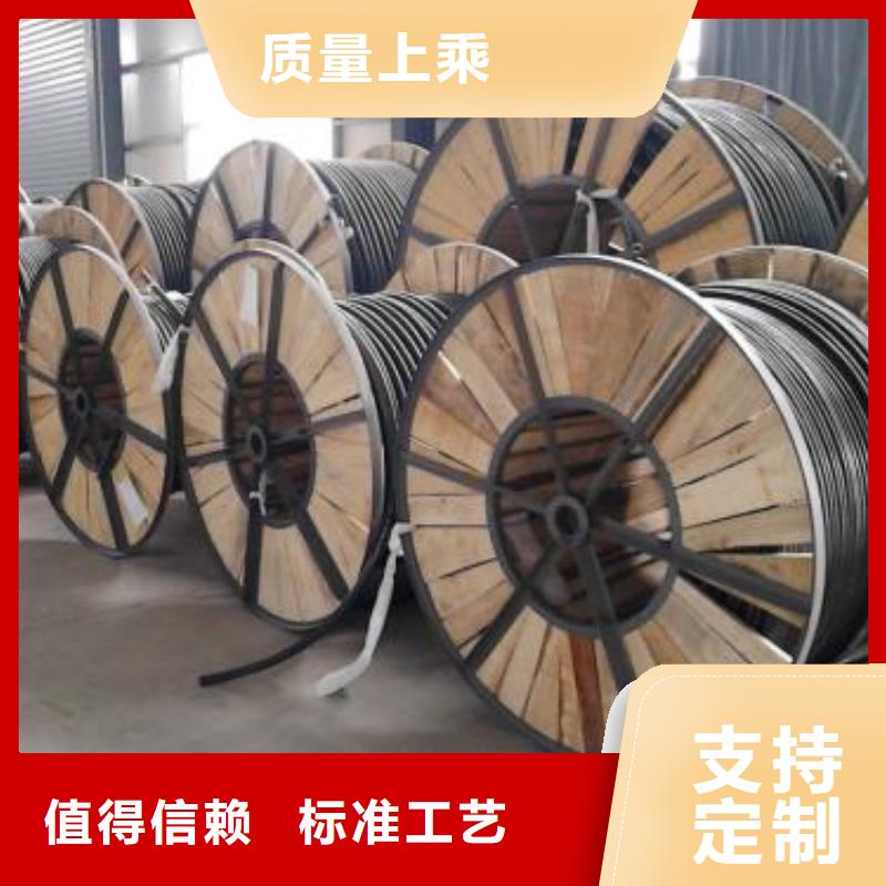 電線電纜PTYA23電纜廠家案例當地供應商