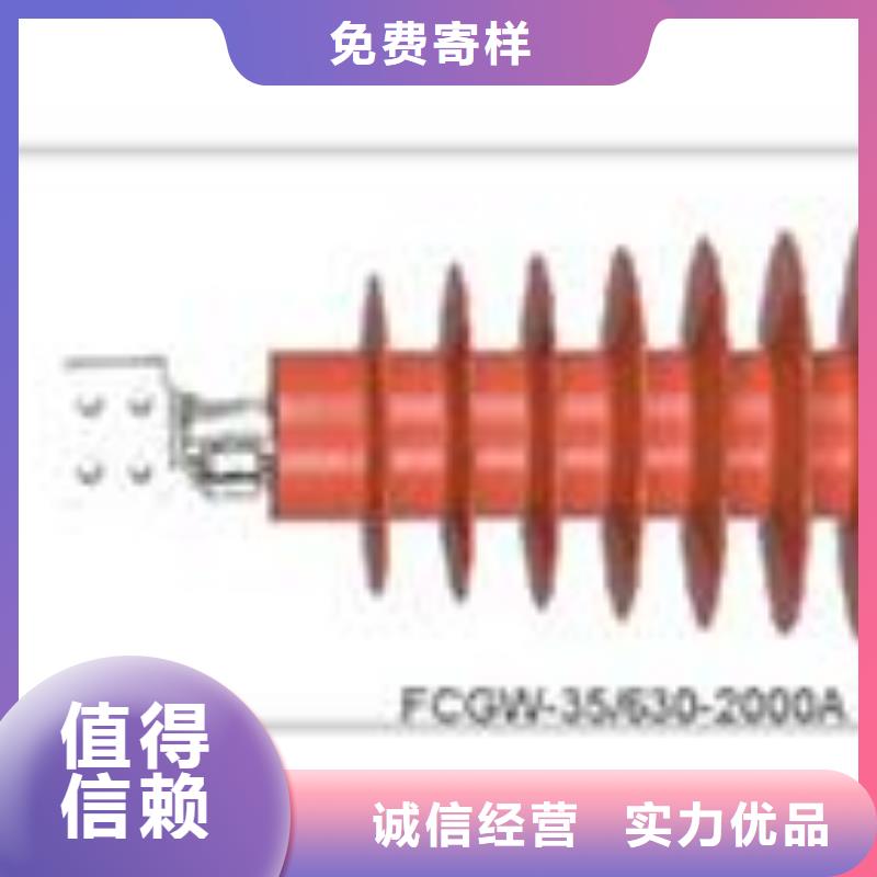 CWWL-10/3000A-4高压穿墙套管同城经销商