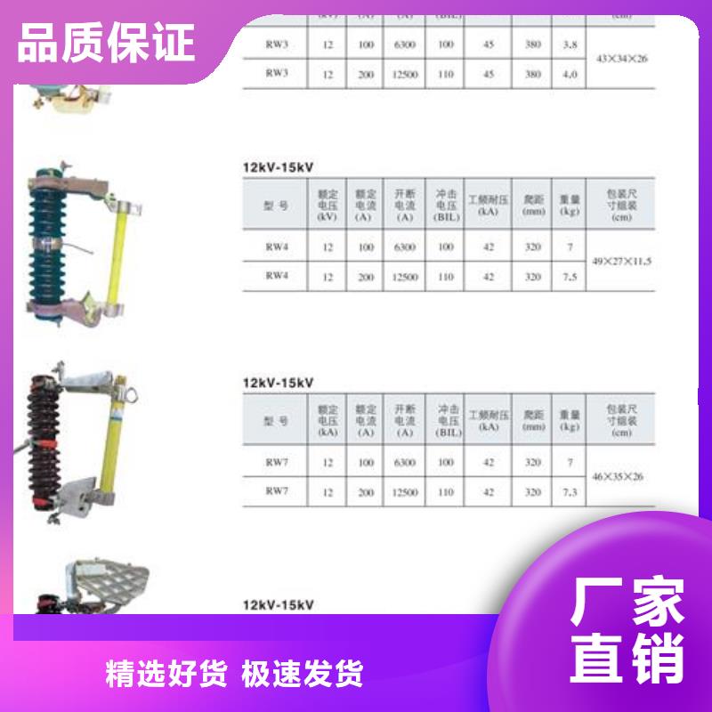 XS-11/100A跌落开关说明一致好评产品