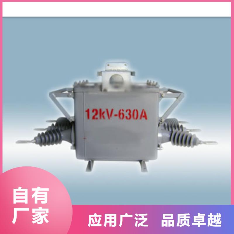 LW38-126/1600-25六氟化硫断路器经验丰富品质可靠