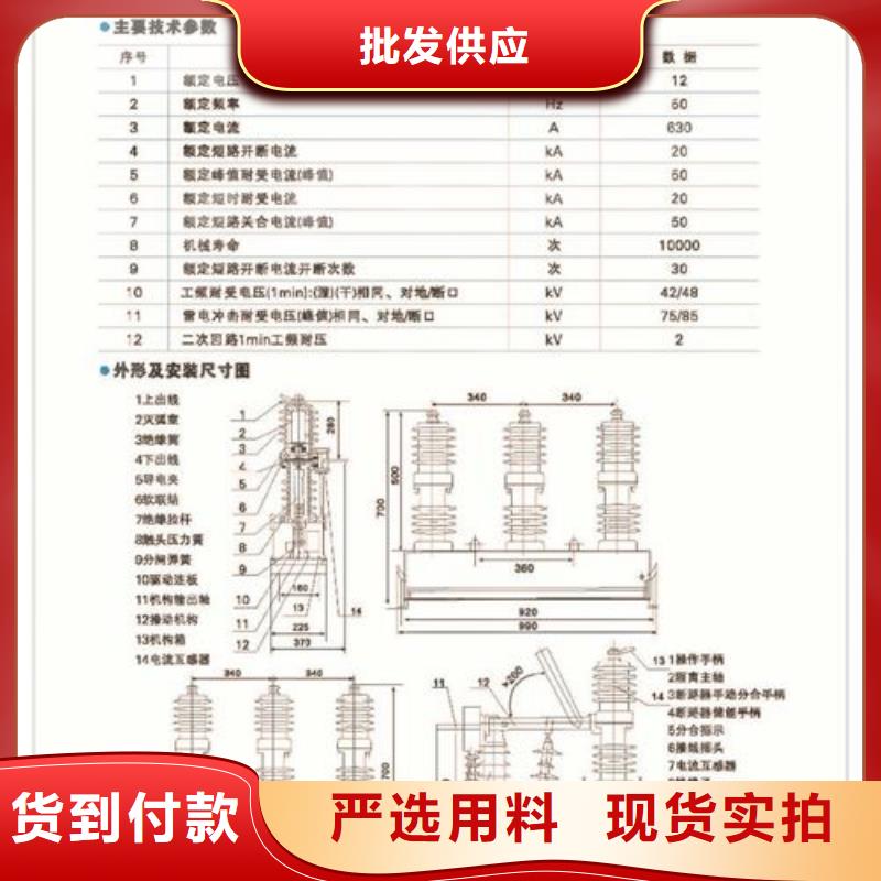 ZW43A-12G/T630-12.5户外柱上开关【本地】品牌