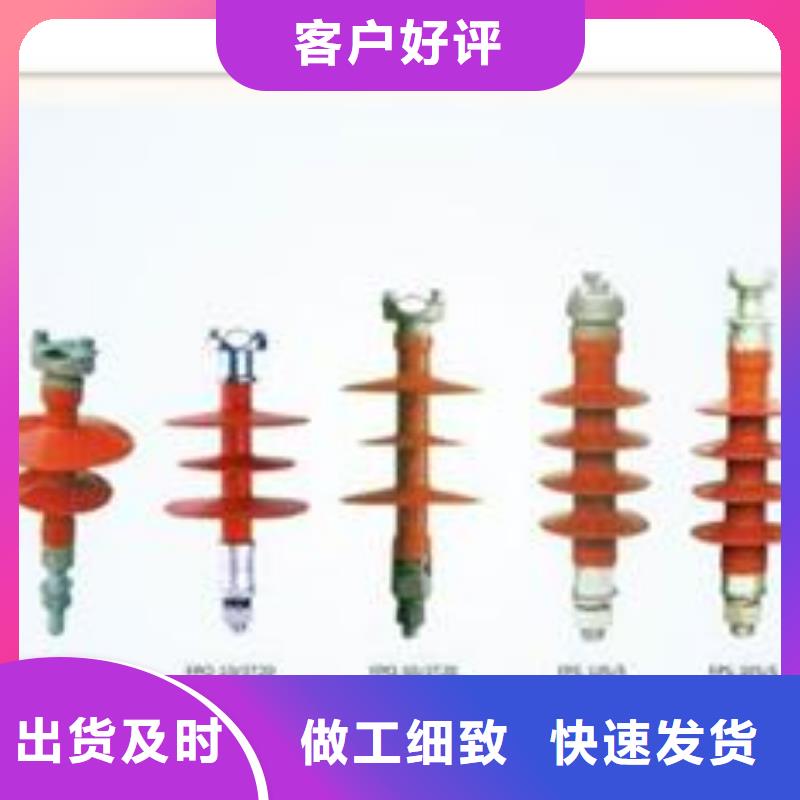 ZJ-10KV/100*140環氧樹脂絕緣子用心做好細節