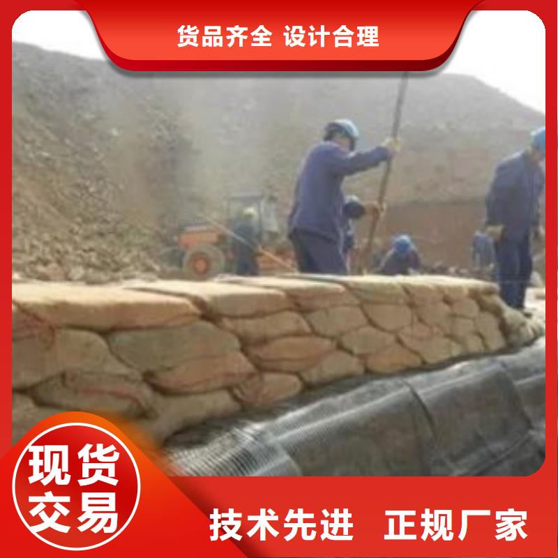 单向塑料格栅塑料土工格栅细节决定成败工艺成熟