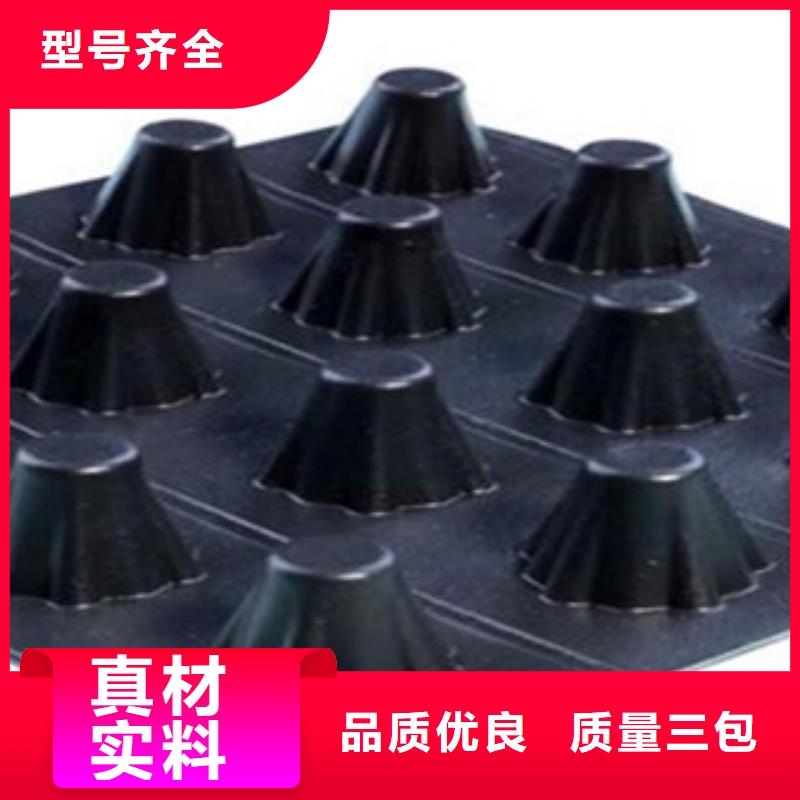 塑料排水板,【三維植被網】高性價比實地大廠