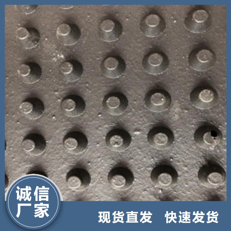 塑料排水板塑料土工格栅厂家直销售后完善当地公司
