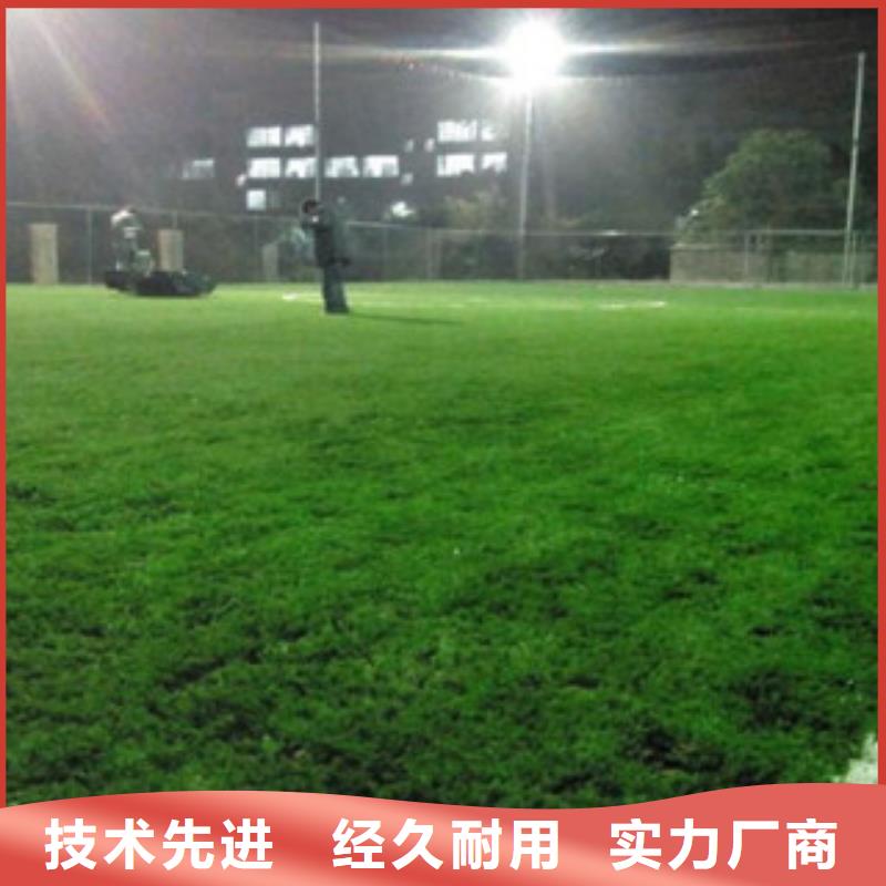 人造草坪-【乒乓球臺】現貨銷售優質原料