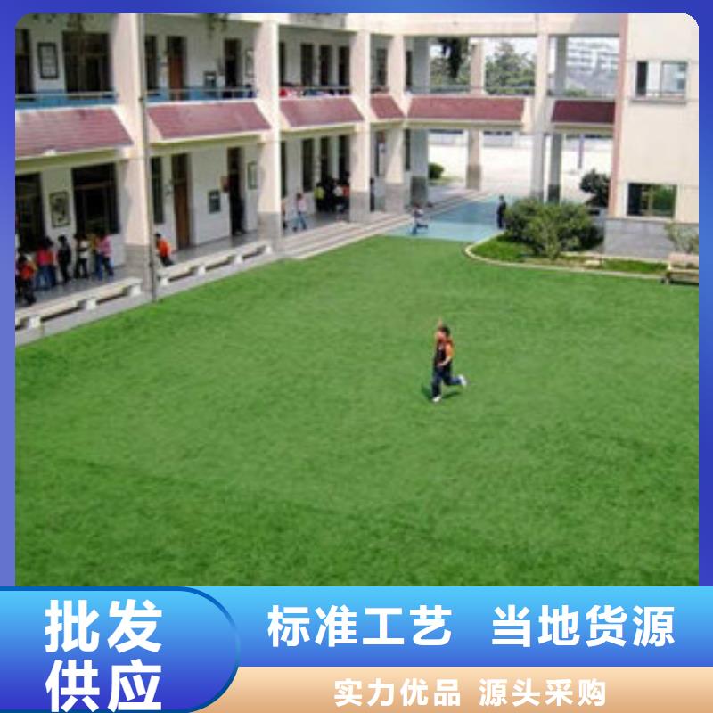 人造草坪籃球架來圖定制產(chǎn)地直供