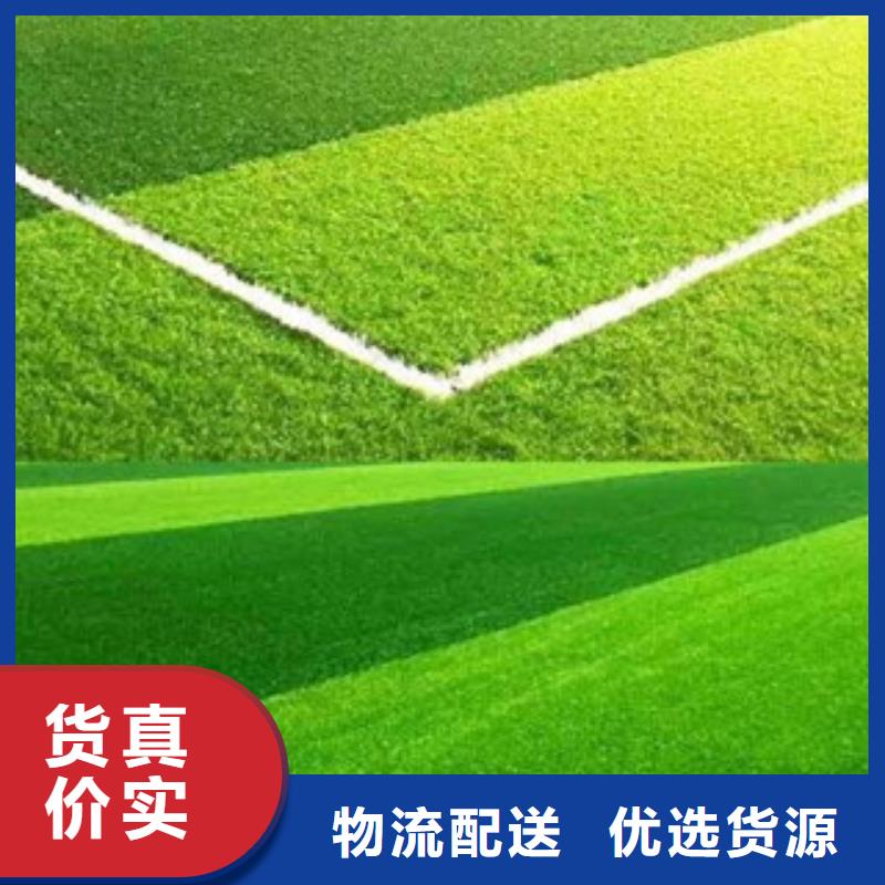 人造草坪塑膠跑道現(xiàn)貨來圖來樣定制