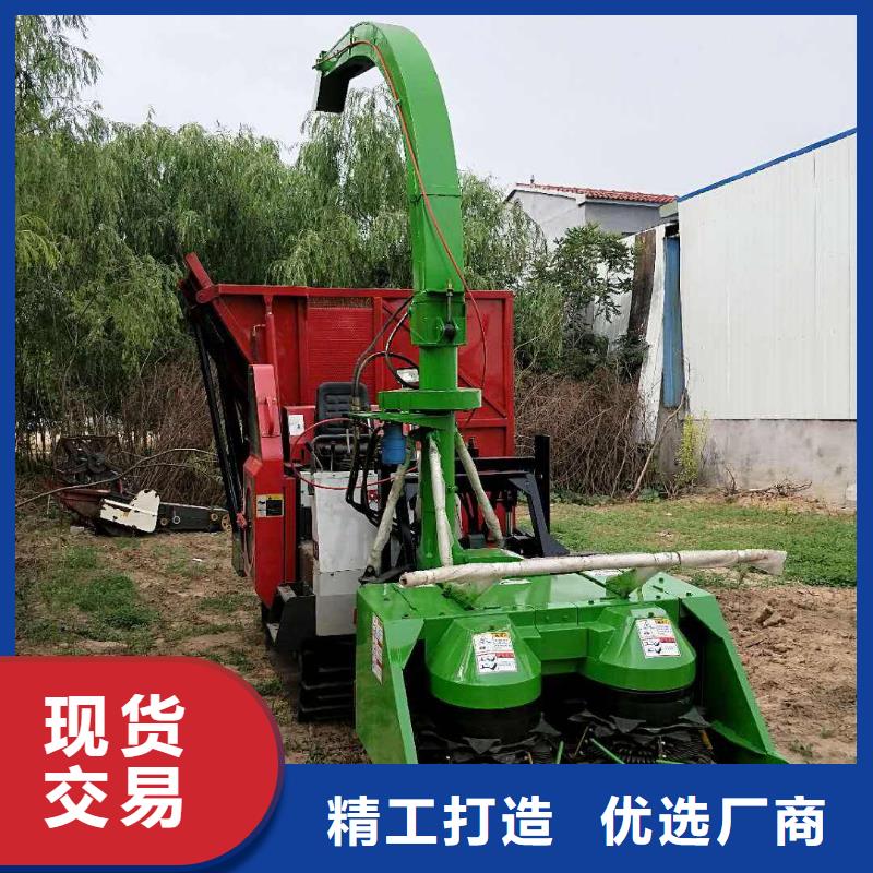 【青儲(chǔ)機(jī)杜高犬現(xiàn)貨采購(gòu)】產(chǎn)地直供