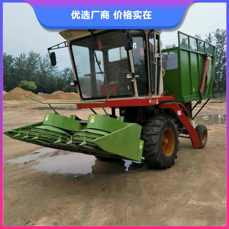 青儲(chǔ)機(jī)杜賓犬市場(chǎng)行情本地生產(chǎn)商