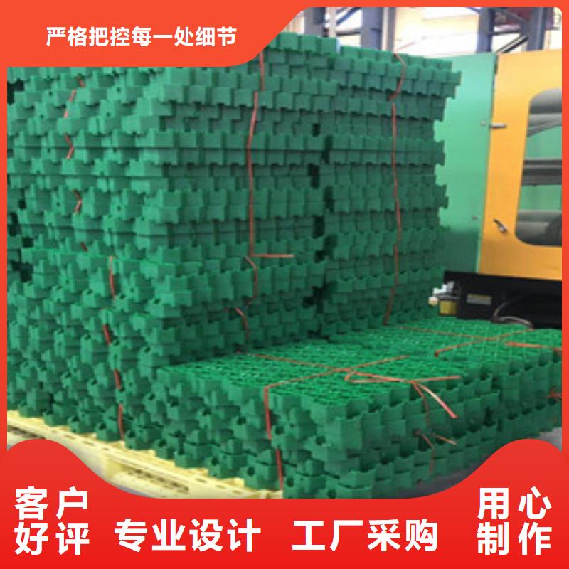 【環保植草格】生態袋廠家廠家售后完善海量現貨直銷