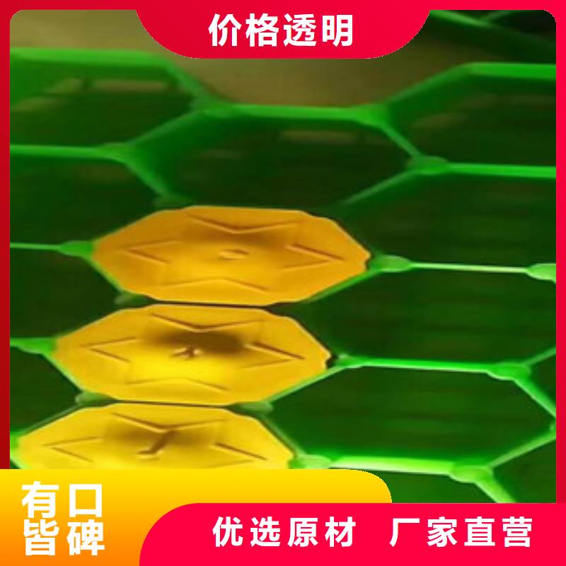 環保植草格_膨潤土防水毯廠家工廠認證本地貨源