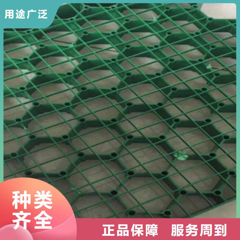 環保植草格,【土工膜廠家】種類豐富當地生產商