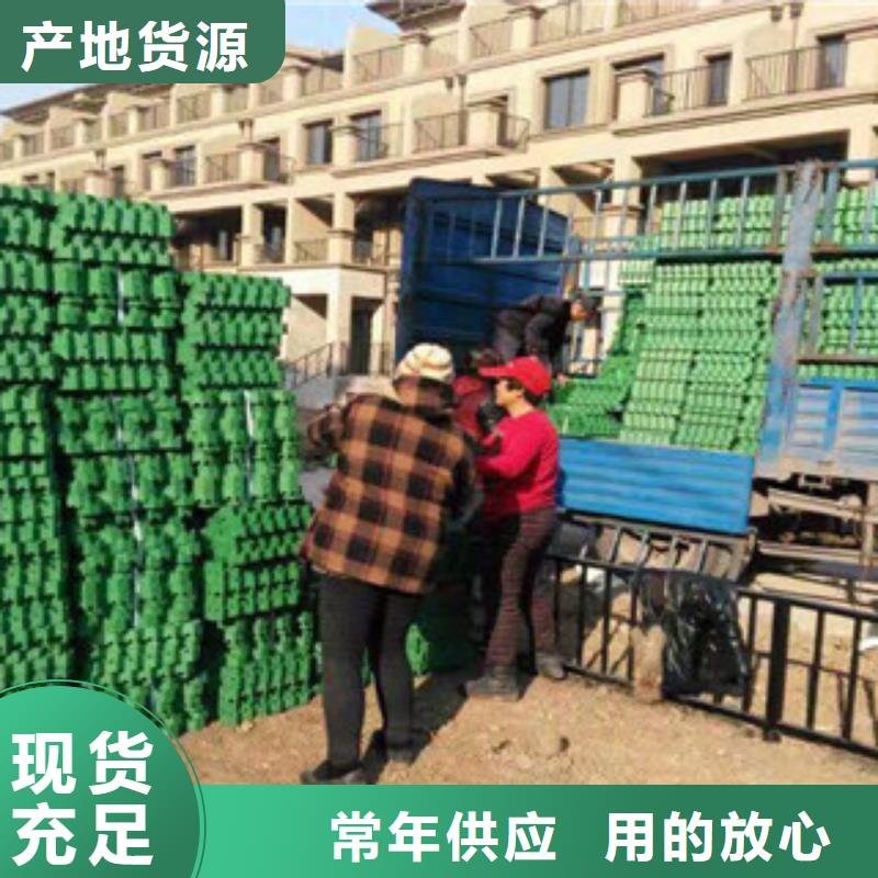 環保植草格_植草格廠家廠家新品質檢合格出廠