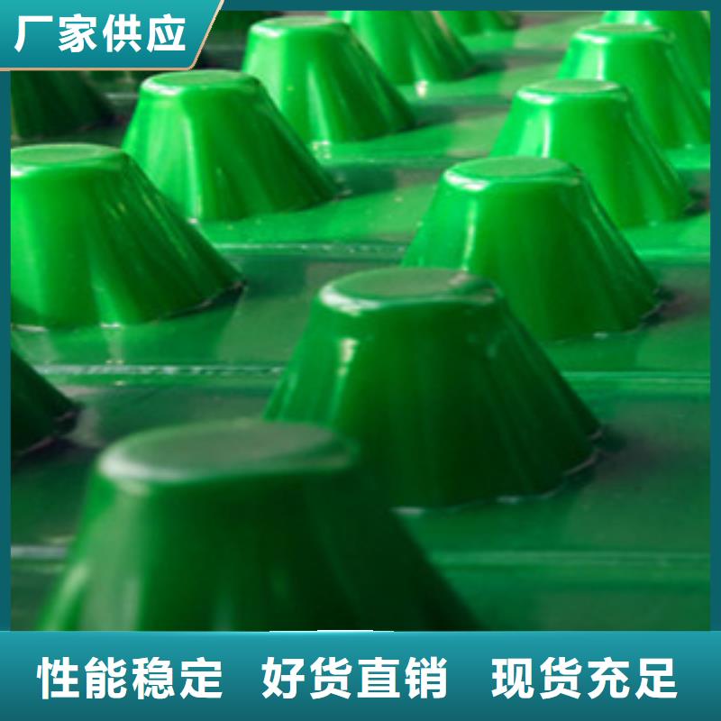 塑料排水板排水板廠家海量貨源同城廠家