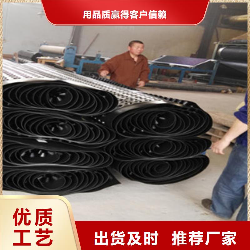 塑料排水板蓄排水板廠家每一處都是匠心制作實地大廠