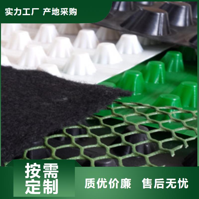 塑料排水板_蓄排水板廠家廠家技術完善本地貨源