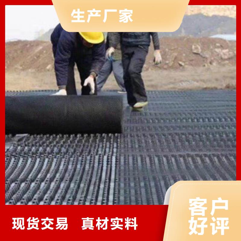 塑料排水板土工膜廠家生產(chǎn)廠家源頭廠家來圖定制