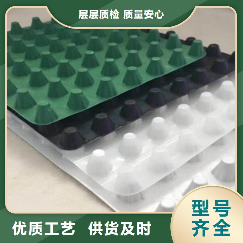 塑料排水板【土工布廠家】規格型號全一站式供應