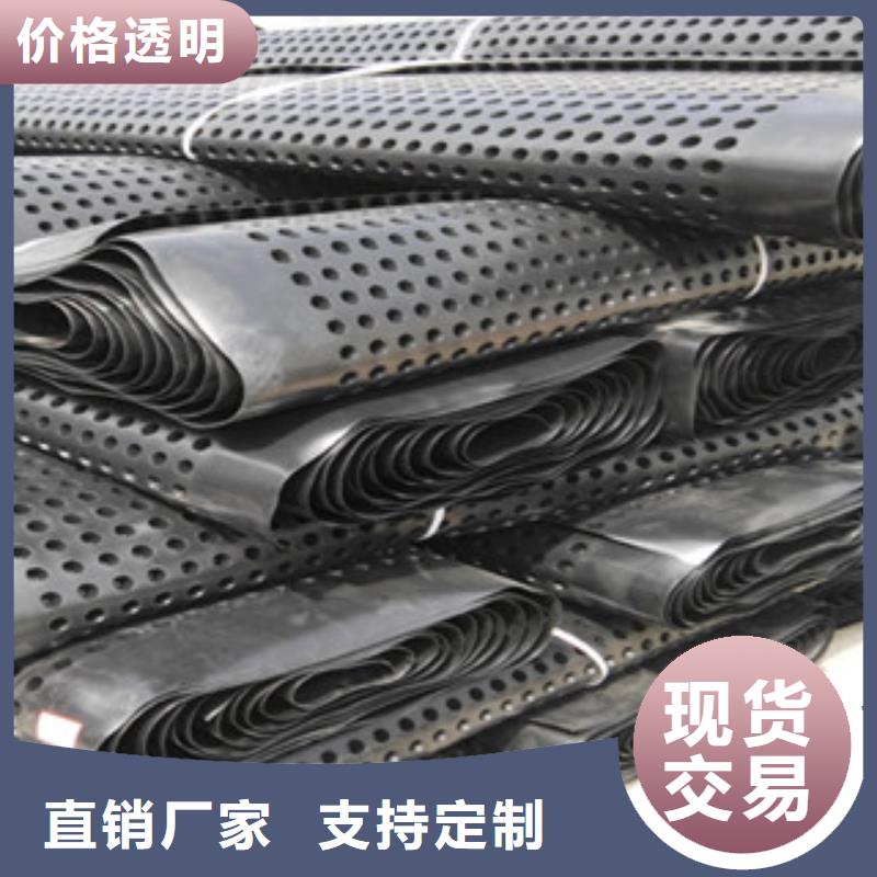 塑料排水板排水板廠家敢與同行比價格同城廠家