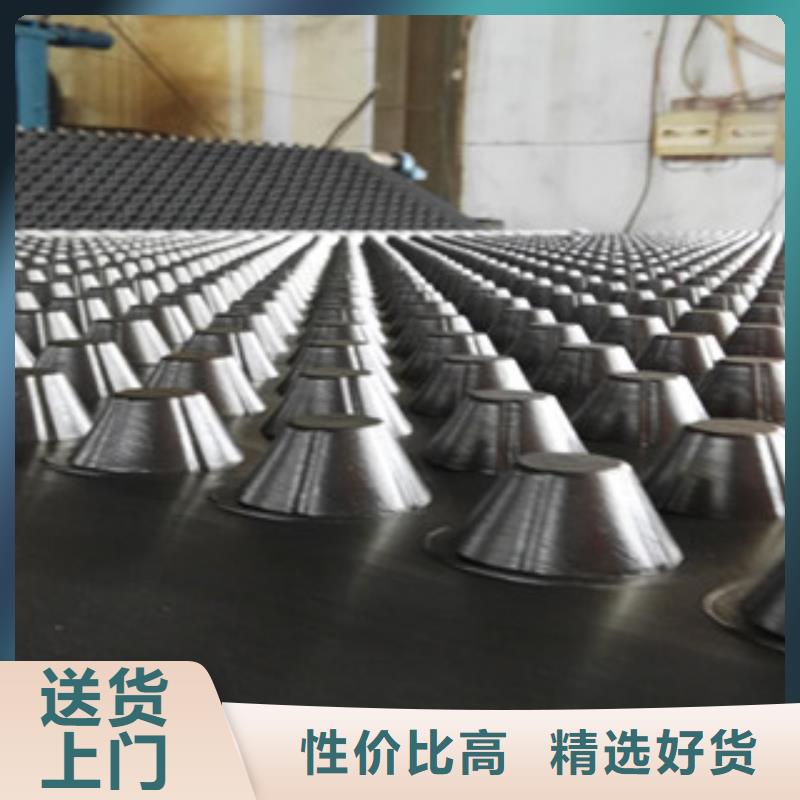 塑料排水板-排水板廠家現(xiàn)貨銷售現(xiàn)貨實(shí)拍