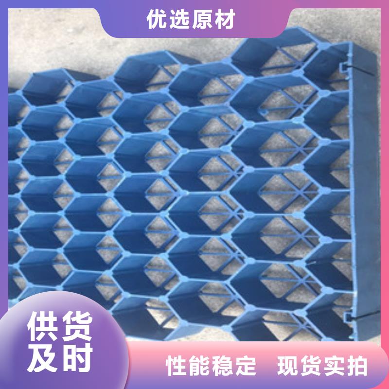 植草格_膨潤土防水毯廠家商家自營品質有保障