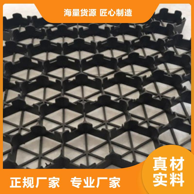 植草格蓄排水板廠家廠家實力雄厚當地品牌