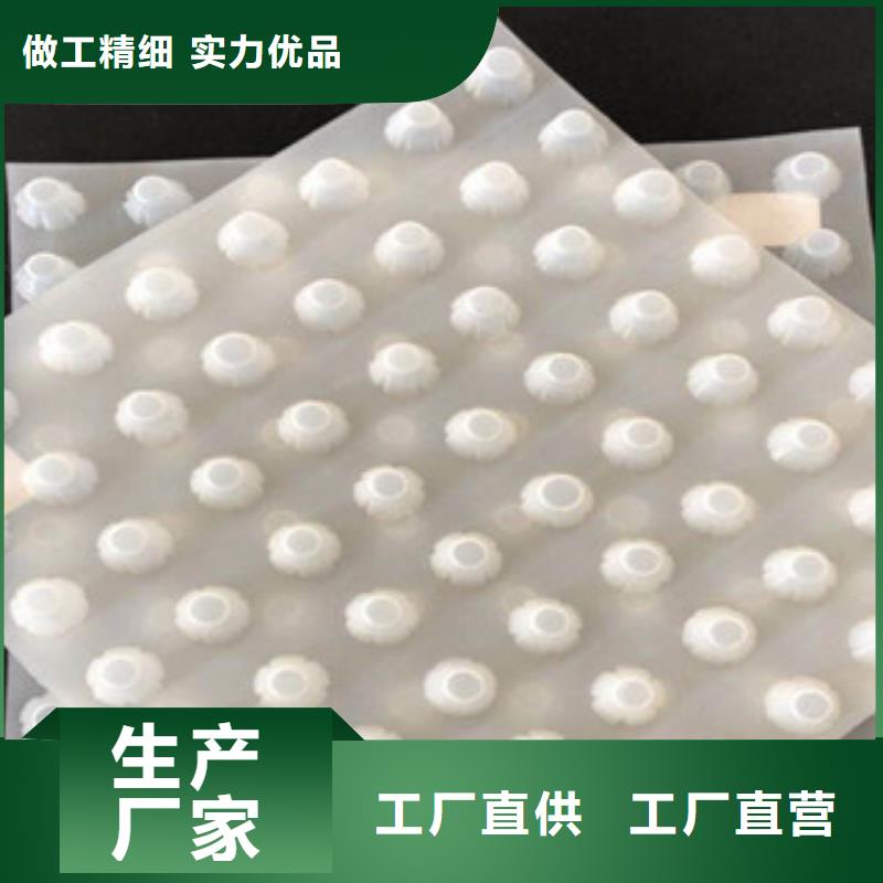 【排水板虹吸排水板廠家優選廠商】一個起售