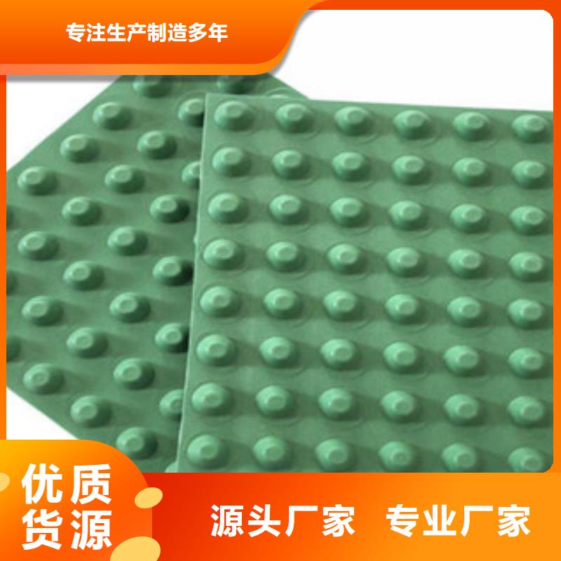 排水板,土工膜廠家定制定做批發(fā)供應(yīng)