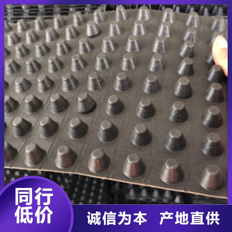 【排水板】虹吸排水板廠家多行業(yè)適用同城供應(yīng)商
