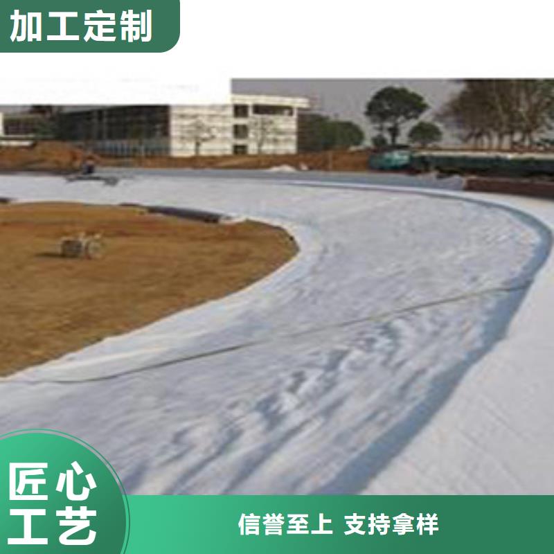 防水毯-【生態袋廠家】一周內發貨廠家工藝先進