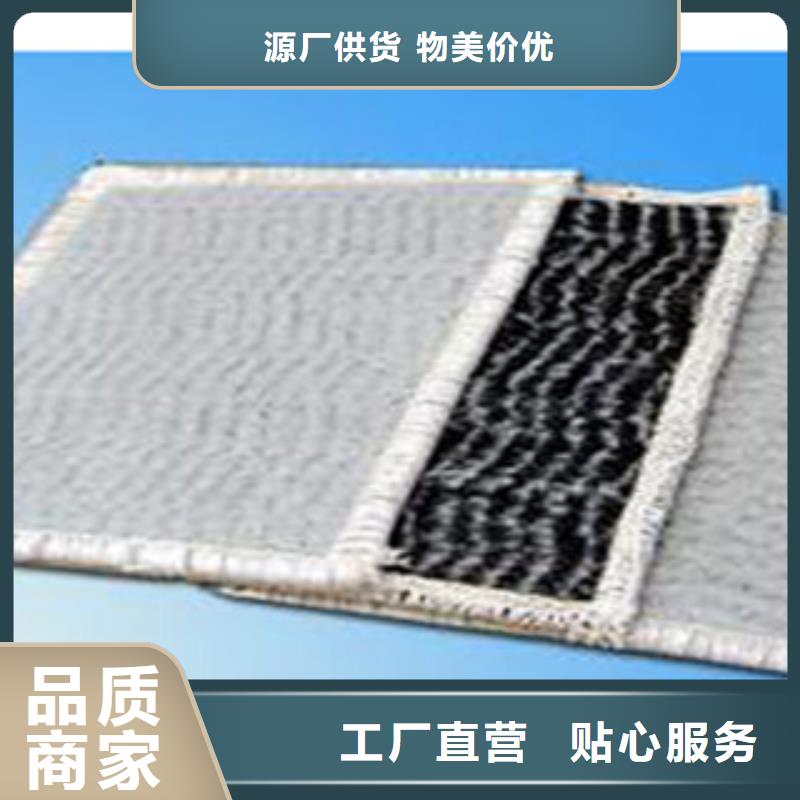 防水毯-【植草格廠家】匠心工藝廠家直營