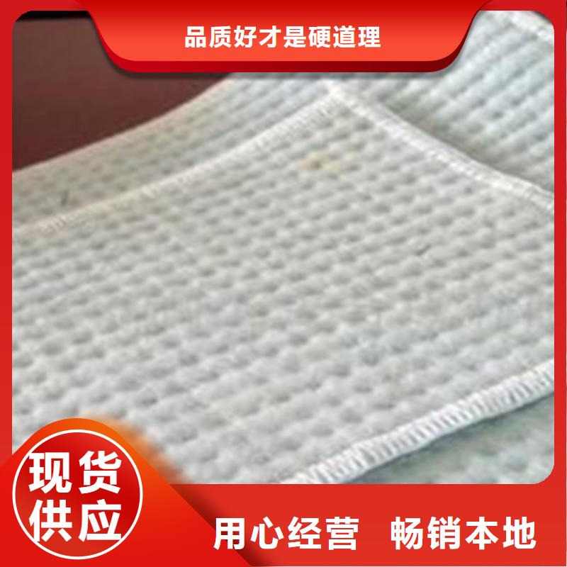 防水毯土工膜廠家多家倉庫發(fā)貨同城廠家