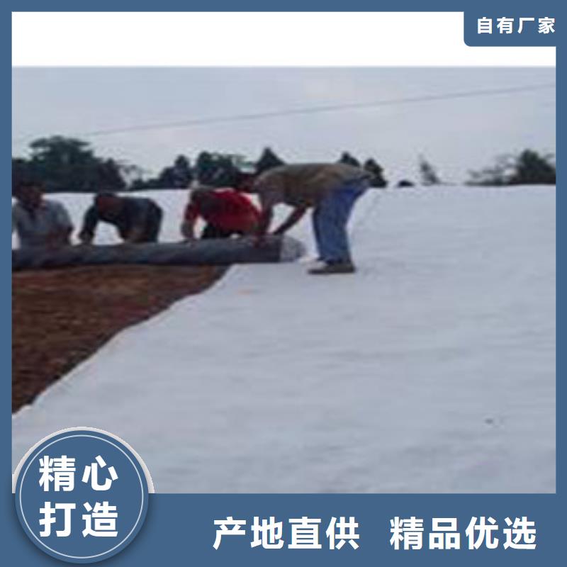 【防水毯】蓄排水板廠家定制速度快工期短顏色尺寸款式定制