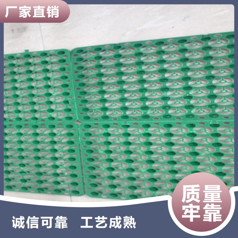 蓄排水板土工膜廠家來圖加工定制精工打造